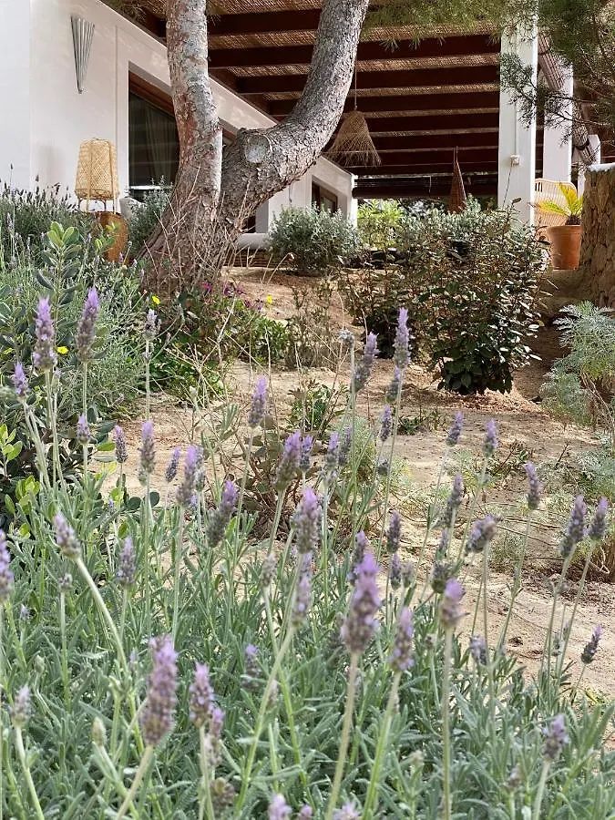 Villa Sa Codolar Cala Tarida